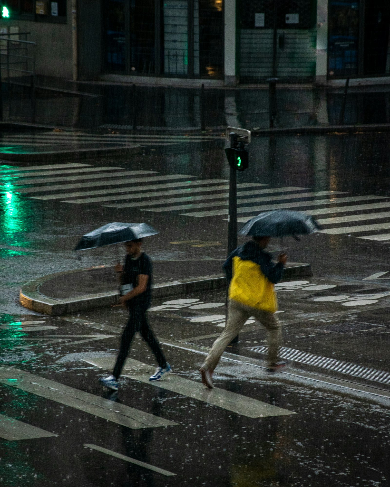 People crossing a wet city street in the rain holding umbrellas