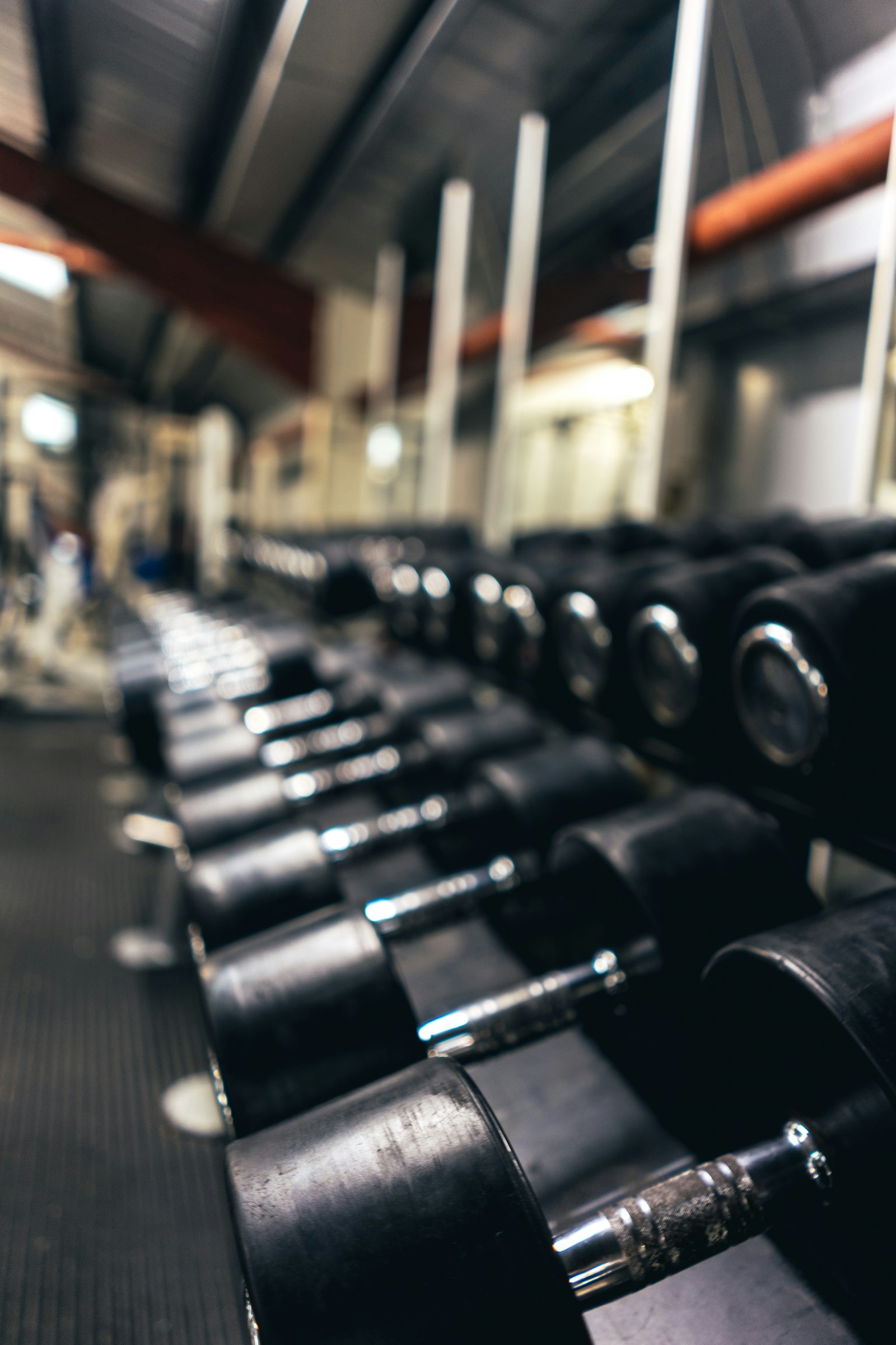 A row of black dumbbells resting on a gym rack