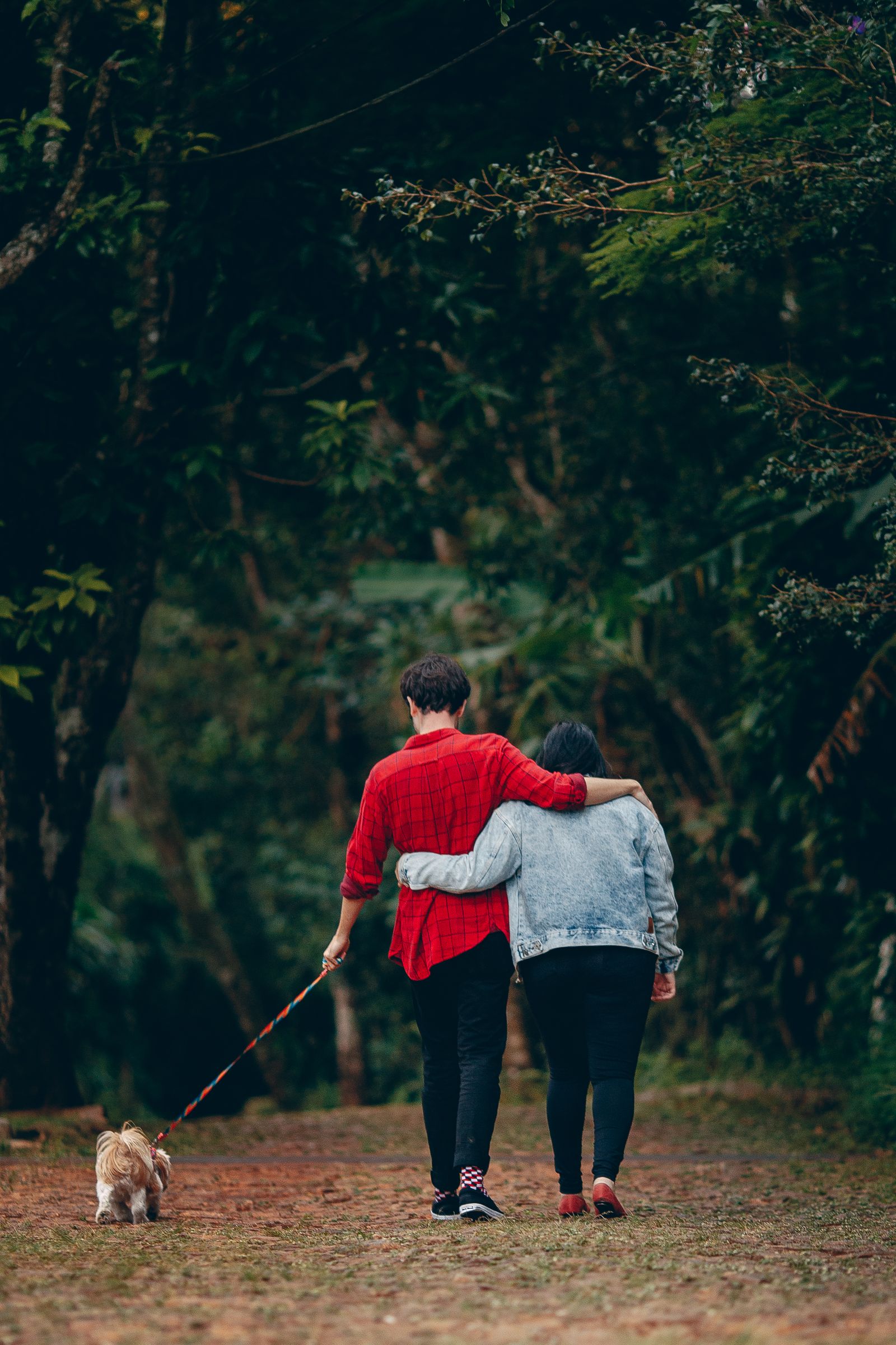 Two people walking together along a tree-lined park path